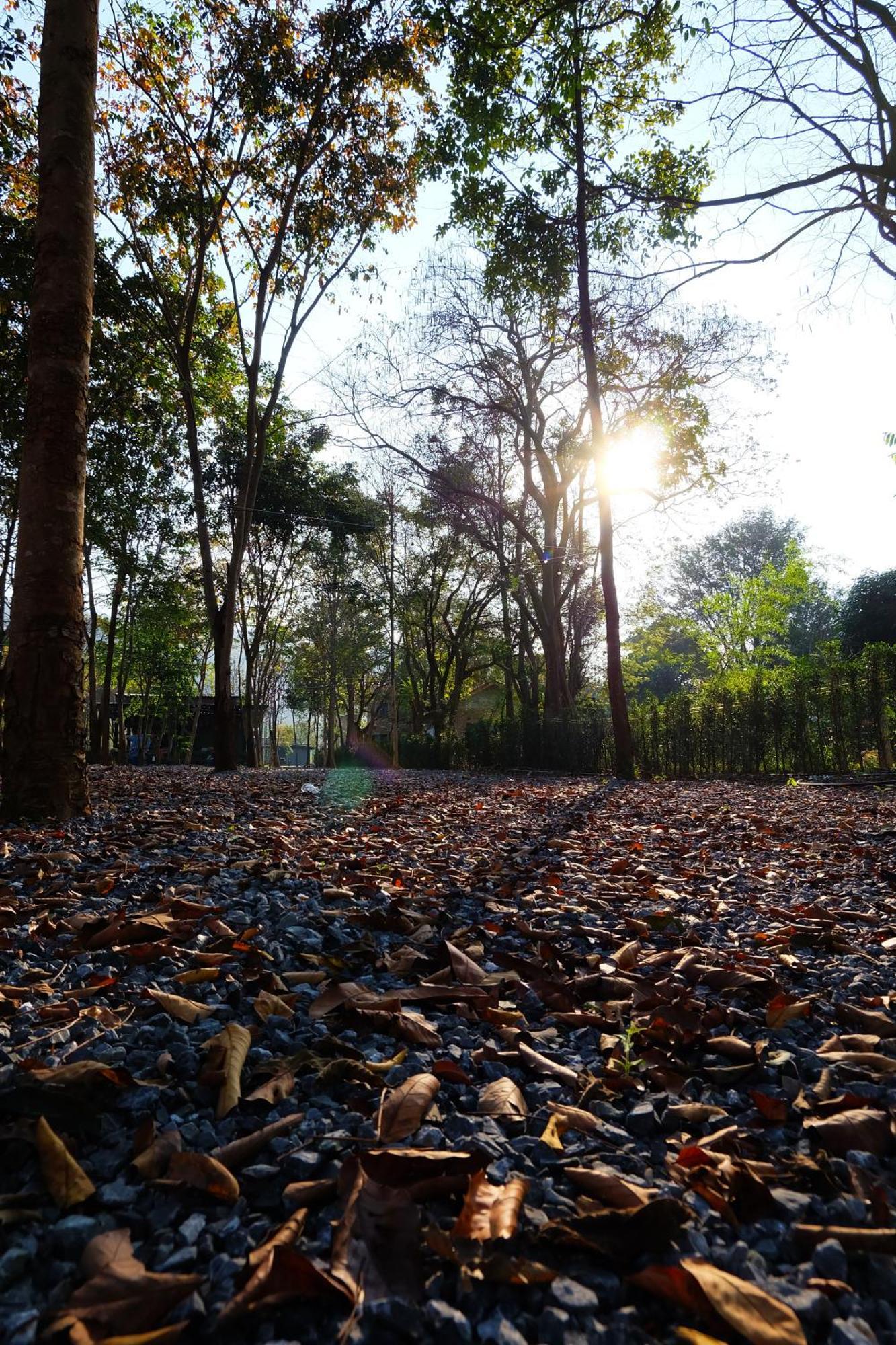 The Wild Khao Yai Hotel Klang Dong Kültér fotó
